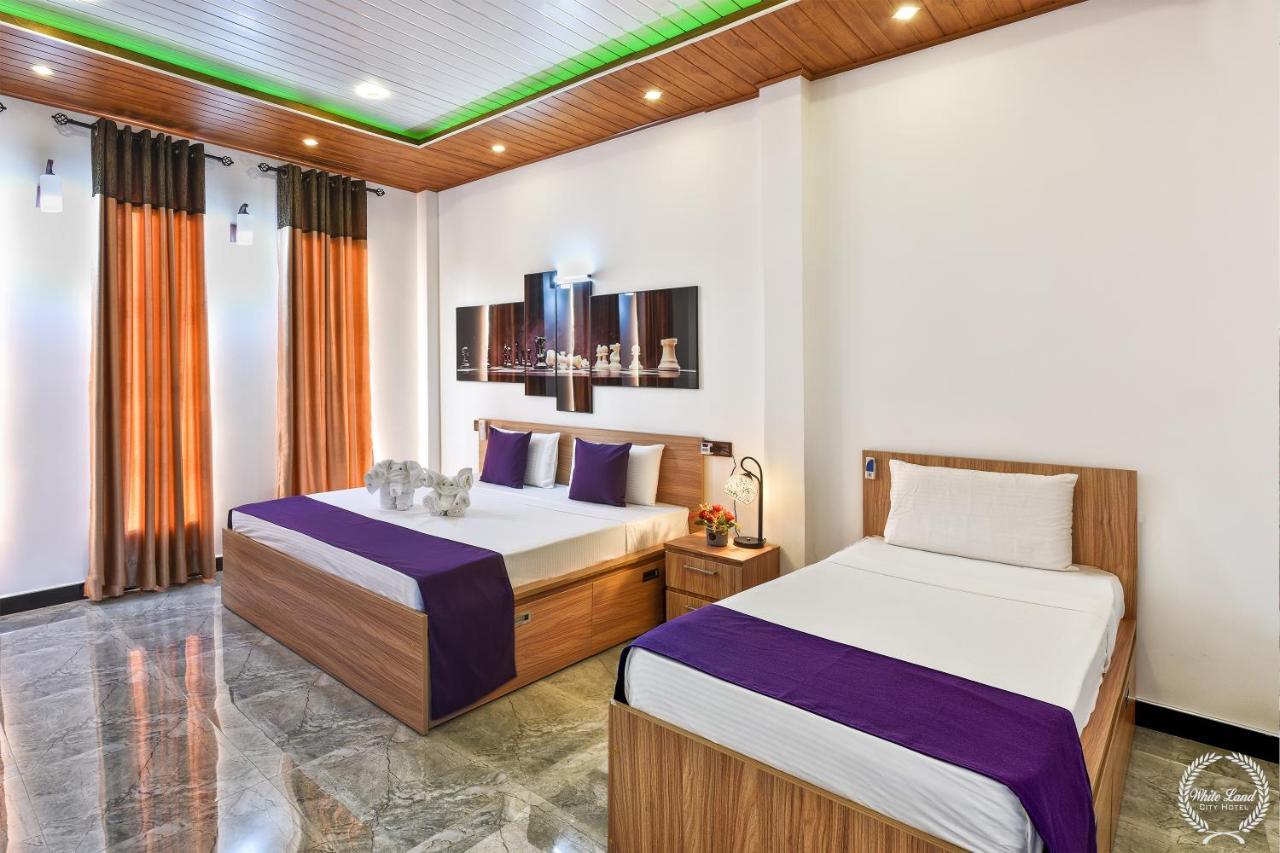 White Land City Hotel Dambulla Dış mekan fotoğraf