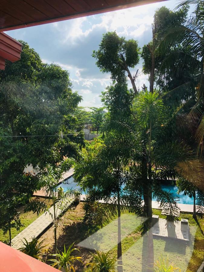 White Land City Hotel Dambulla Dış mekan fotoğraf